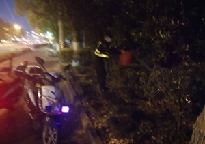 绿化带失火蔓延  保安施救化险情 ——宗保公司驻惠南镇园区派出所