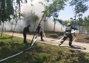 树林着火现险情  保安急救受赞扬 ——宗保公司驻书院市容项目队员