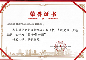 新虹街道交管辅警项目被评为“最美创全团”