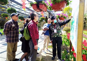 宗保党员志愿服务队全力备战花博会