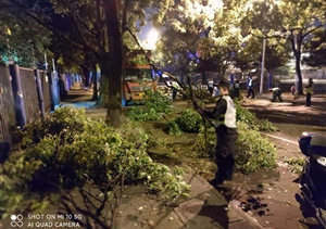 扎实工作树新风系列2021.5.14