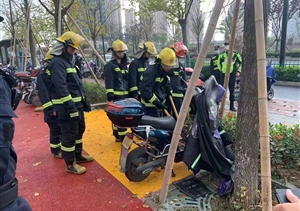 助人为乐展风采系列—近期(2021.11.30)公司涌现4起助人为乐好人好