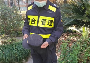 忍辱克制展风采 文明规范获赞扬—闲林城管辅助项目队员忍辱克制获