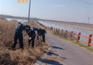 宗保公司协助清除外来入侵物种“加拿大一枝黄花”