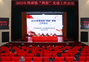 宗保公司党支部荣获周浦镇“两新”活力党支部荣誉称号